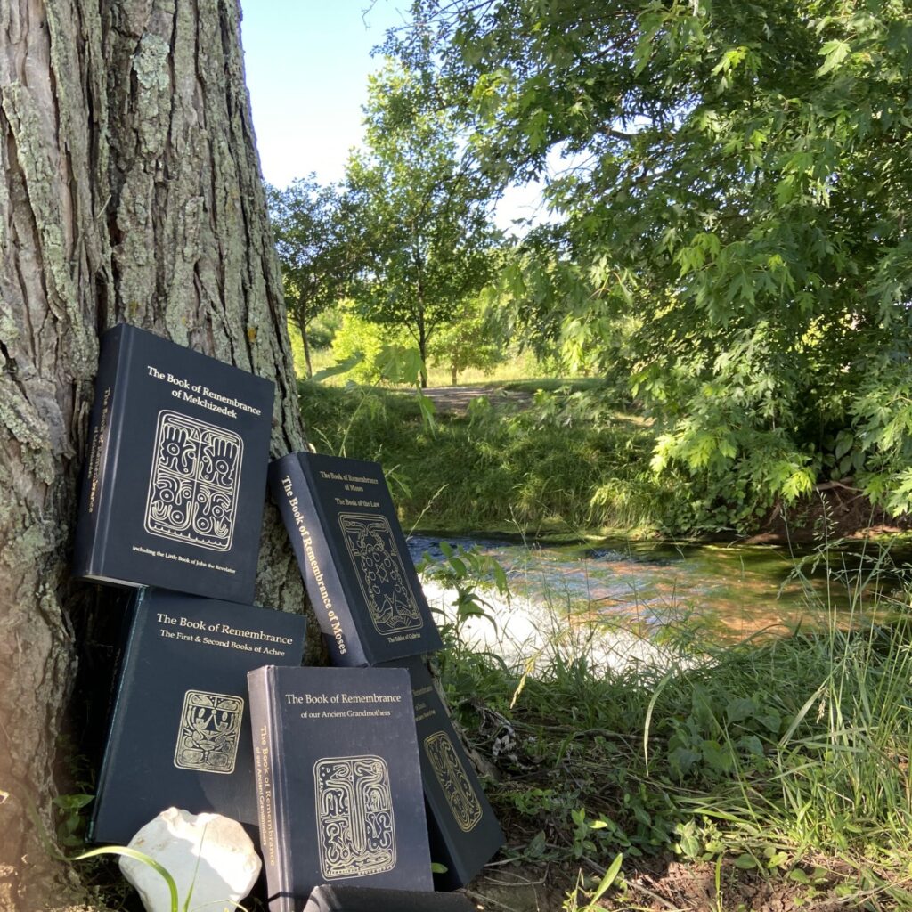 BoR_BestSet Books of Remembrance Give-Away